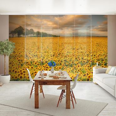 Set de panneaux coulissants - Field With Sunflowers