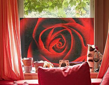 Décoration pour fenêtres - Lovely Rose