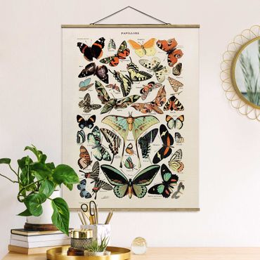 Tableau en tissu avec porte-affiche - Vintage Board Butterflies And Moths