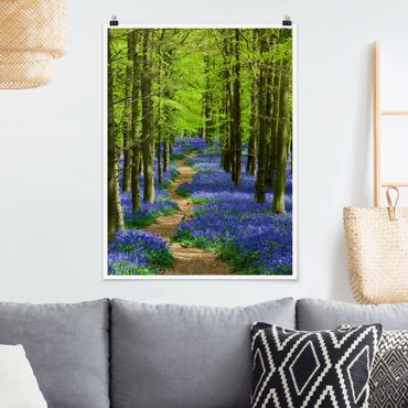Poster forêt - Trail in Hertfordshire
