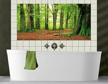 Sticker pour carrelage - Mighty Beech Trees