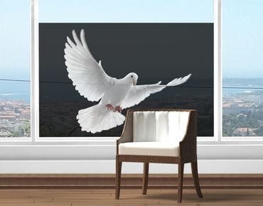 Décoration pour fenêtres - Dove Of Peace