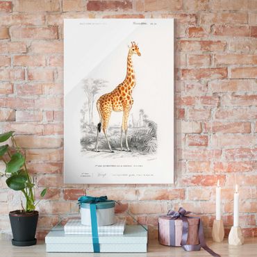 Tableau en verre - Vintage Board Giraffe