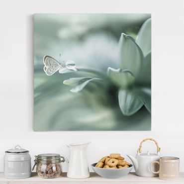 Impression sur toile - Butterfly And Dew Drops In Pastel Green