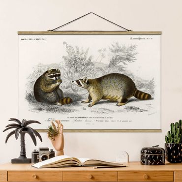 Tableau en tissu avec porte-affiche - Vintage Board Raccoon