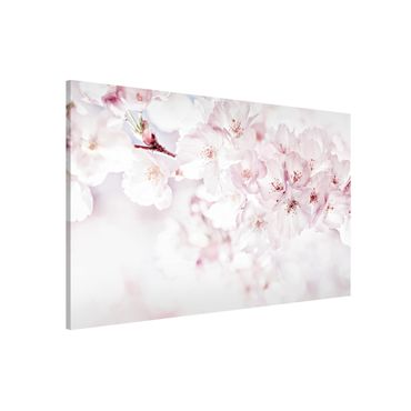 Tableau magnétique - A Touch Of Cherry Blossoms