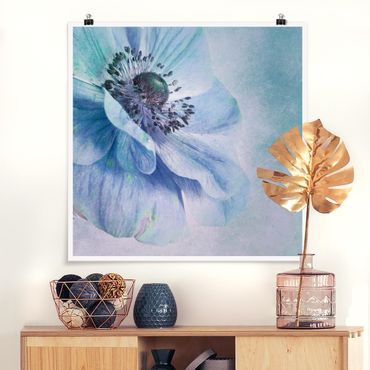 Poster - Flower In Turquoise