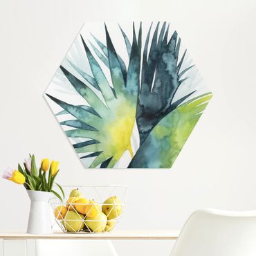 Hexagone en forex - Tropical Foliage - Fan Palm