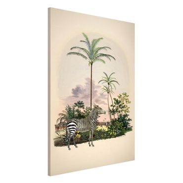 Tableau magnétique - Zebra Front Of Palm Trees Illustration