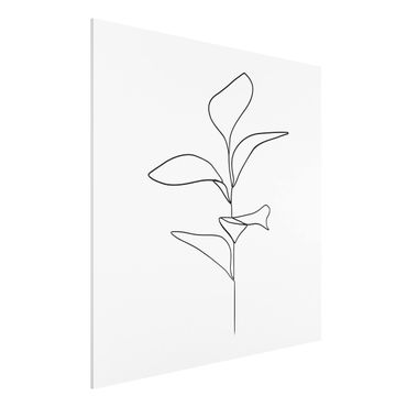 Impression sur forex - Line Art Plant Leaves Black And White