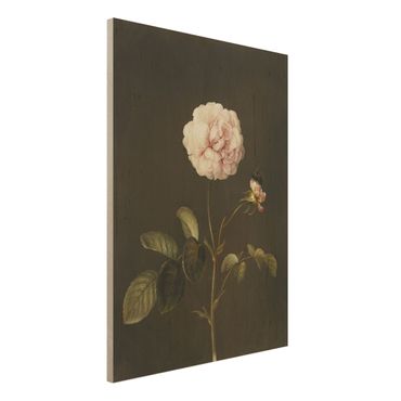 Impression sur bois - Barbara Regina Dietzsch - French Rose With Bumblbee