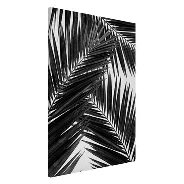 Tableau magnétique - View Through Palm Leaves Black And White