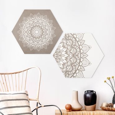 Hexagone en forex - Mandala Illustration Shabby Set Beige White