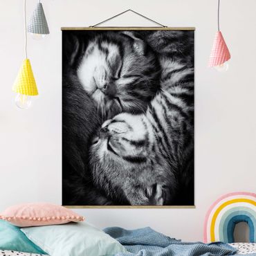 Tableau en tissu avec porte-affiche - Two Kittens