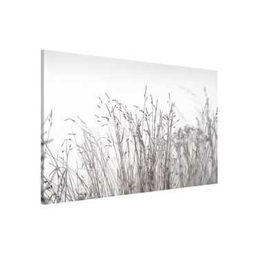 Tableau magnétique - Winter Grasses