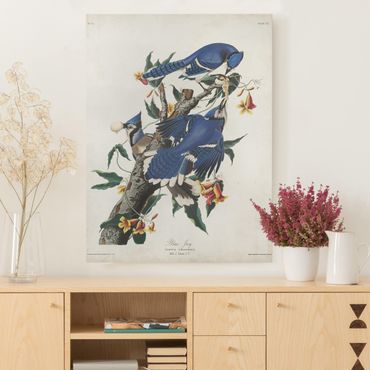Impression sur toile - Vintage Board Blue Jays