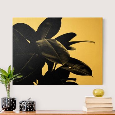 Tableau sur toile or - Rubber Tree Black And White