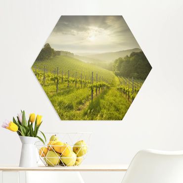 Hexagone en forex - Sunrays Vineyard