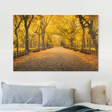 Impression sur toile - Autumn In Central Park