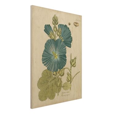 Impression sur bois - Vintage Botany In Blue Rose Poplar