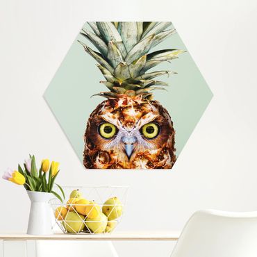 Hexagone en forex - Pineapple With Owl