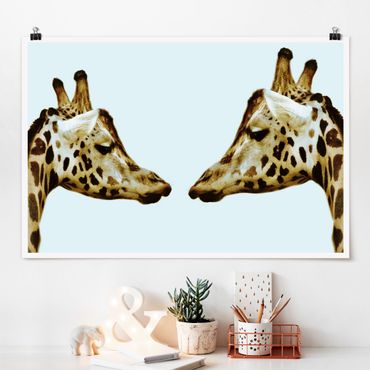 Poster - Giraffes In Love