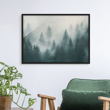 Poster encadré - Coniferous Forest In Fog