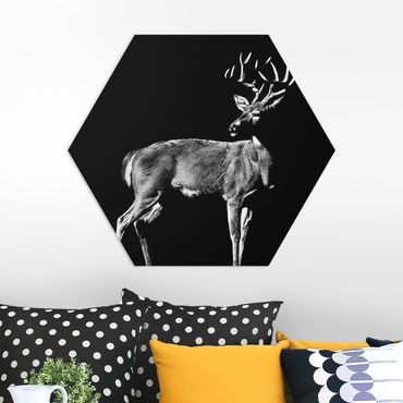 Hexagone en forex - Deer In The Dark