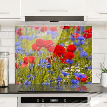 Fond de hotte - Summer Meadow With Poppies And Cornflowers