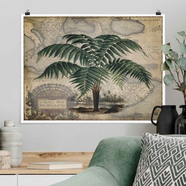 Poster - Vintage Collage - Palm And World Map