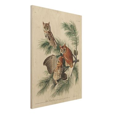 Impression sur bois - Vintage Board Screech Owl
