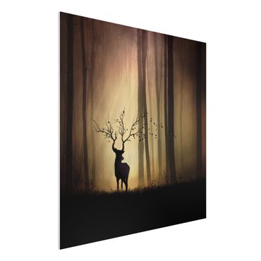 Tableau en forex - The Lord Of The Forest