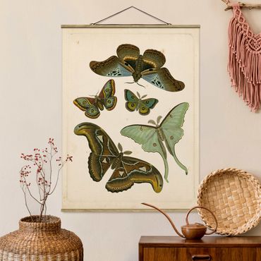 Tableau en tissu avec porte-affiche - Vintage Illustration Exotic Butterflies II