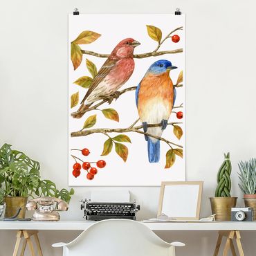 Poster animaux - Birds And Berries - Bluebird