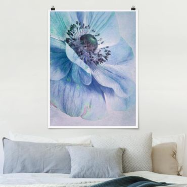 Poster fleurs - Flower In Turquoise