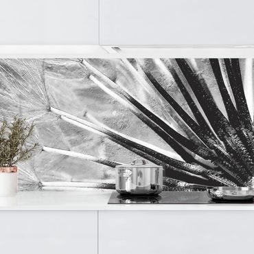 Revêtement mural cuisine - Dandelion Black & White