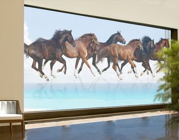 Film pour vitres XXL - Horse Herd