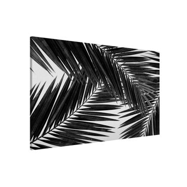 Tableau magnétique - View Over Palm Leaves Black And White