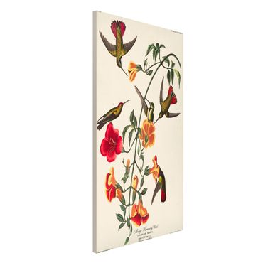 Tableau magnétique - Vintage Board Mango Hummingbirds