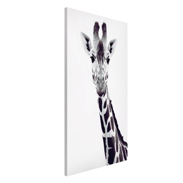 Tableau magnétique - Giraffe Portrait In Black And White