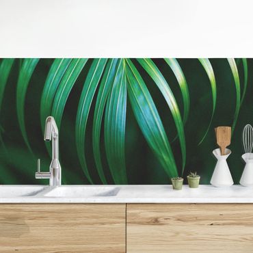 Revêtement mural cuisine - Palm Fronds