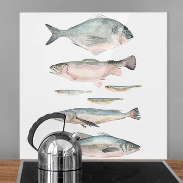 Fond de hotte - Seven Fish In Watercolor II