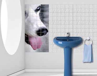 Sticker pour carrelage - Cool Dog
