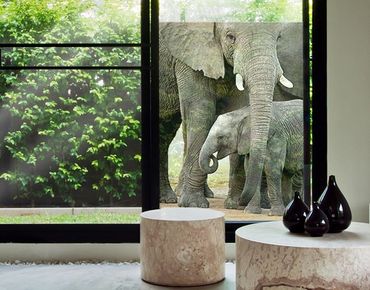 Décoration pour fenêtres - Elephant Love