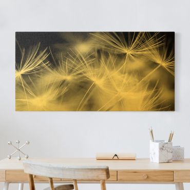 Tableau sur toile or - Moving Dandelions Close Up On Black Background
