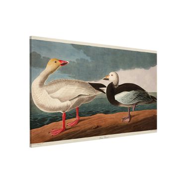 Tableau magnétique - Vintage Board Blue Goose