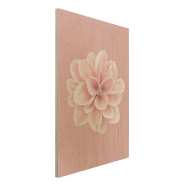 Impression sur bois - Dahlia Pink Blush Flower Centered
