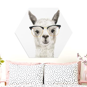 Hexagone en forex - Hip Lama With Glasses I