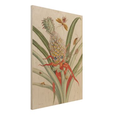 Impression sur bois - Anna Maria Sibylla Merian - Pineapple With Insects