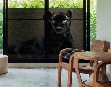 Décoration pour fenêtres - Black Puma